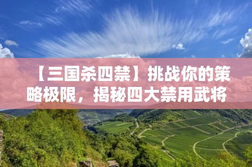 【三国杀四禁】挑战你的策略极限，揭秘四大禁用武将