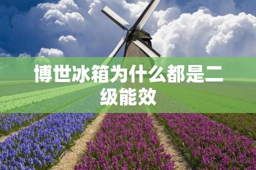 博世冰箱为什么都是二级能效 博世冰箱为什么都是二级能效