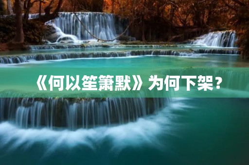 《何以笙箫默》为何下架？