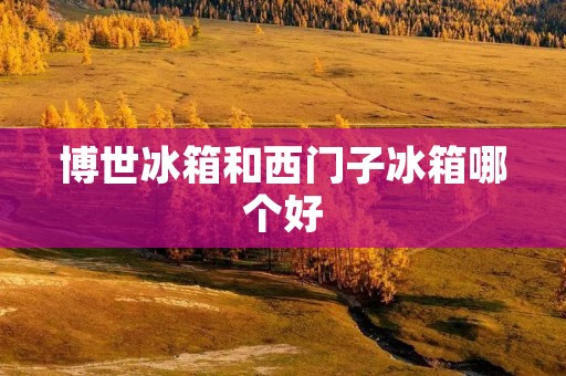 博世冰箱和西门子冰箱哪个好