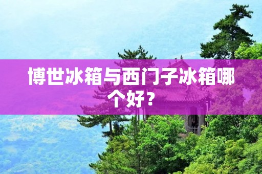 博世冰箱与西门子冰箱哪个好？
