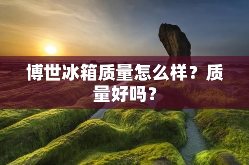 博世冰箱质量怎么样？质量好吗？