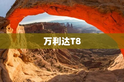 万利达T8：开启城市骑行新时代