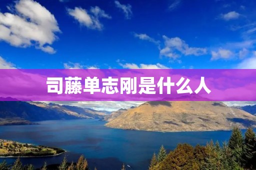 司藤单志刚是什么人 司藤单志刚是什么人