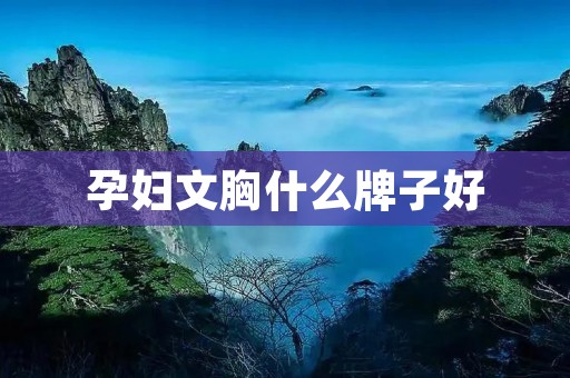 孕妇文胸什么牌子好