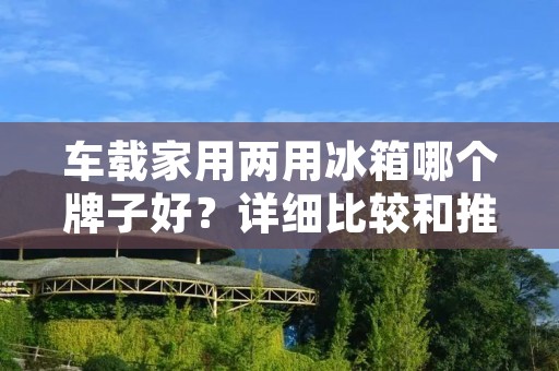 车载家用两用冰箱哪个牌子好？详细比较和推荐
