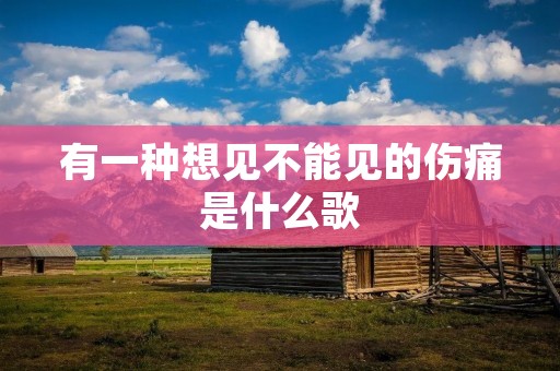 有一种想见不能见的伤痛是什么歌