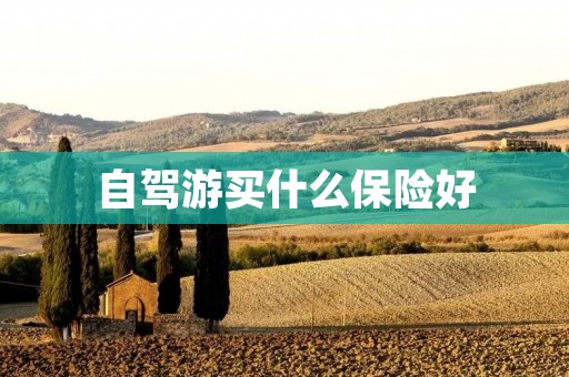 自驾游买什么保险好 自驾游买什么保险好