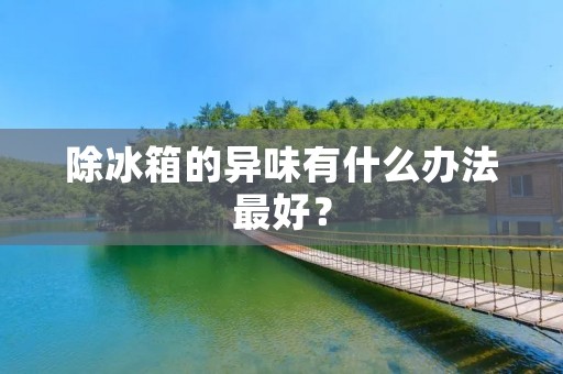 除冰箱的异味有什么办法最好? 除冰箱的异味有什么办法最好?