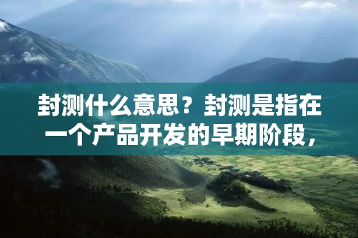 封测什么意思？封测是指在一个产品开发的早期阶段，为了测试产品的功能、性能和稳定性而进行的一种封闭测试。在封测期间，产品通常只对特定的测试人员或群体开放，以便收集反馈和改进产品。