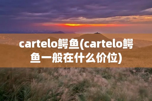 cartelo鳄鱼(cartelo鳄鱼一般在什么价位)