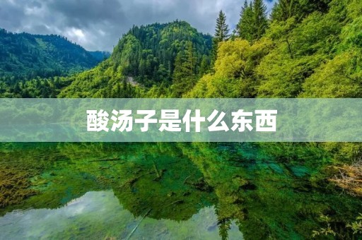 酸汤子是什么东西 酸汤子是什么东西