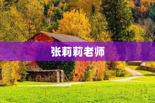 张莉莉老师：引领教育新潮流