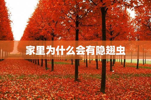 家里为什么会有隐翅虫 家里为什么会有隐翅虫