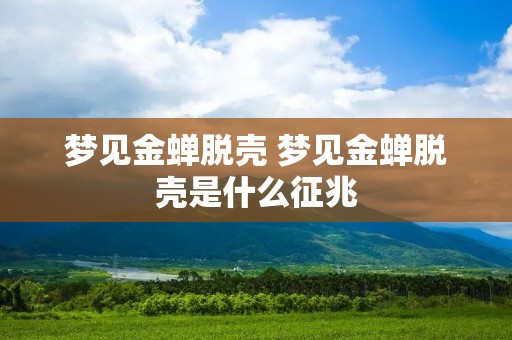 梦见金蝉脱壳 梦见金蝉脱壳是什么征兆