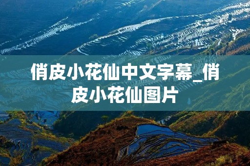 俏皮小花仙中文字幕_俏皮小花仙图片 俏皮小花仙中文字幕_俏皮小花仙图片