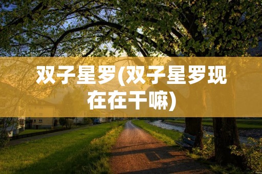 双子星罗(双子星罗现在在干嘛)