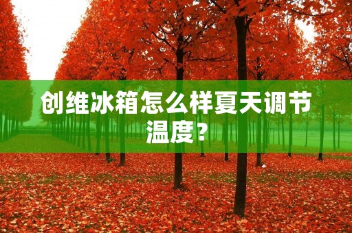 创维冰箱怎么样夏天调节温度？