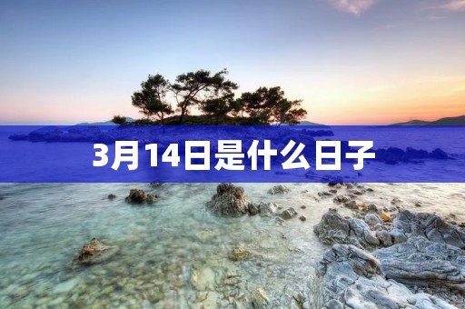 3月14日是什么日子