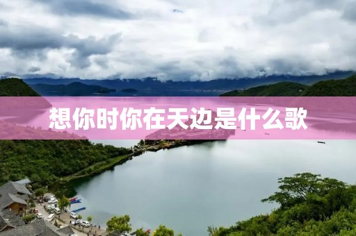想你时你在天边是什么歌