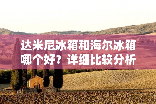 达米尼冰箱和海尔冰箱哪个好？详细比较分析