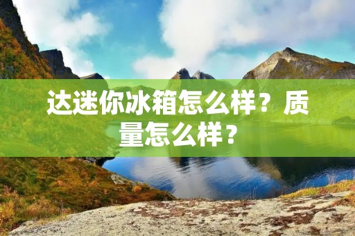 达迷你冰箱怎么样？质量怎么样？