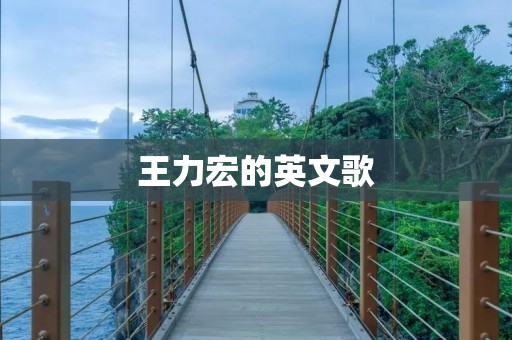 王力宏的英文歌：用音乐跨越语言的界限