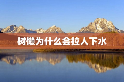 树懒为什么会拉人下水