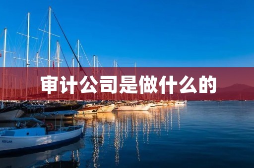 审计公司是做什么的 审计公司是做什么的