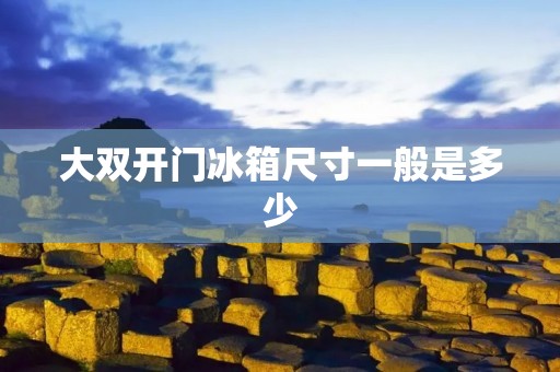 大双开门冰箱尺寸一般是多少