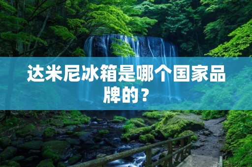 达米尼冰箱是哪个国家品牌的? 达米尼冰箱是哪个国家品牌的?