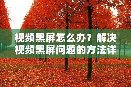 视频黑屏怎么办？解决视频黑屏问题的方法详解
