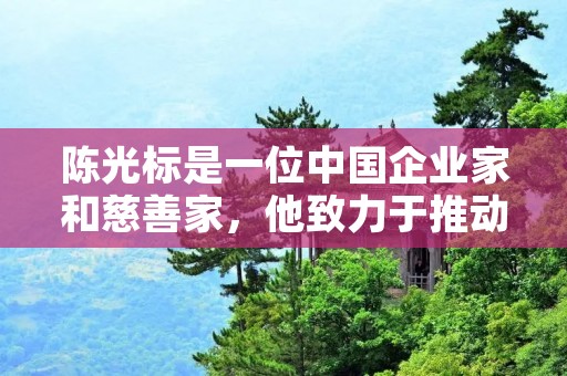 陈光标是一位中国企业家和慈善家，他致力于推动社会公益事业的发展和创新。作为中国公益界的重要人物之一，陈光标通过自己的努力和影响力，积极参与和推动各类公益项目和慈善活动，为社会做出了重要贡献。
