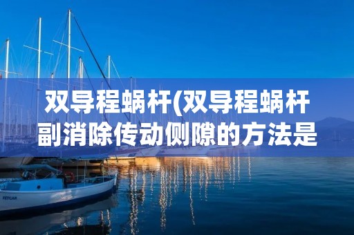 双导程蜗杆(双导程蜗杆副消除传动侧隙的方法是)