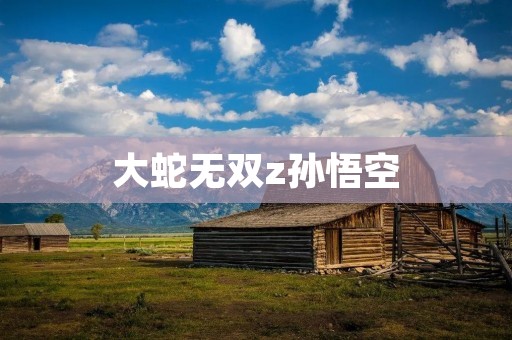 大蛇无双z孙悟空：传奇之战
