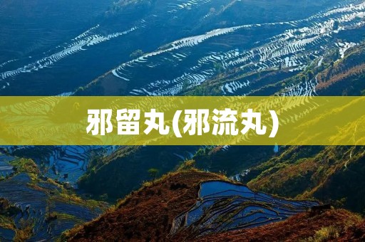邪留丸(邪流丸)