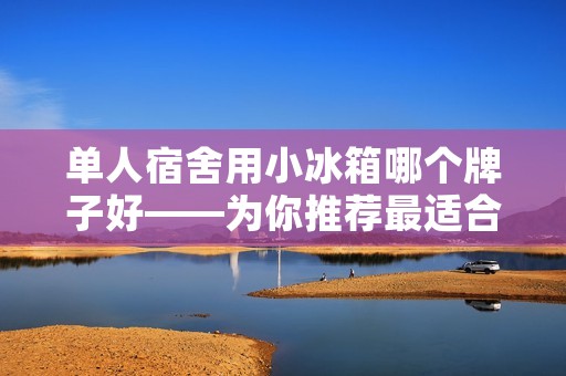 单人宿舍用小冰箱哪个牌子好——为你推荐最适合的选择