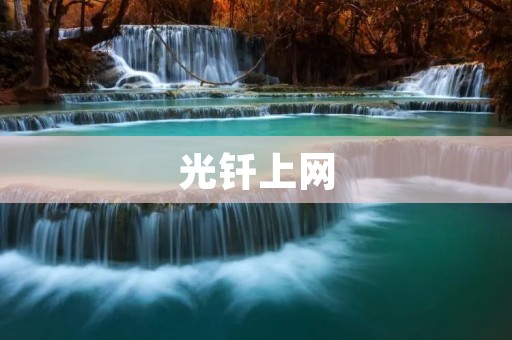 光钎上网：打开超高速网络时代的大门
