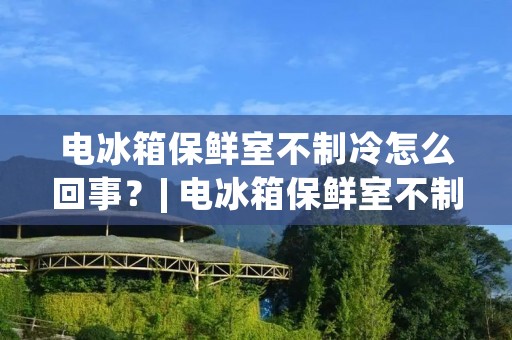 电冰箱保鲜室不制冷怎么回事?| 电冰箱保鲜室不制冷原因及解决方法详解