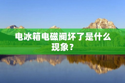 电冰箱电磁阀坏了是什么现象？