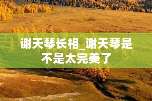 谢天琴长相_谢天琴是不是太完美了