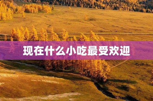 现在什么小吃最受欢迎