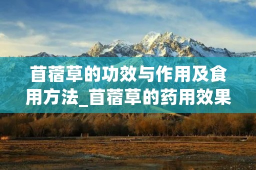 苜蓿草的功效与作用及食用方法_苜蓿草的药用效果