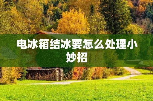 电冰箱结冰要怎么处理小妙招