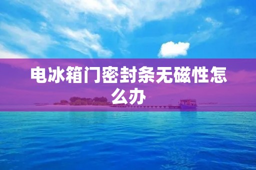 电冰箱门密封条无磁性怎么办 电冰箱门密封条无磁性怎么办