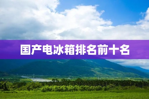 国产电冰箱排名前十名:哪些品牌在市场中占据领先地位? 国产电冰箱排名前十名:哪些品牌在市场中占据领先地位?