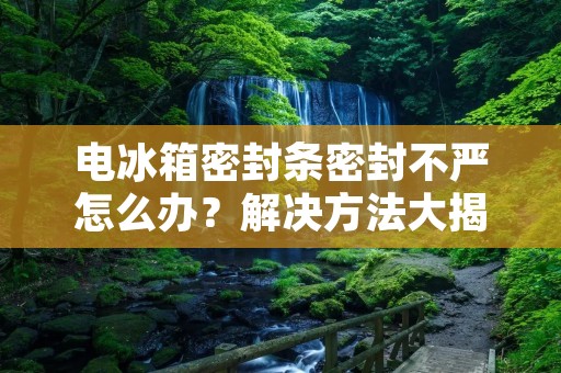 电冰箱密封条密封不严怎么办?解决方法大揭秘! 电冰箱密封条密封不严怎么办?解决方法大揭秘!