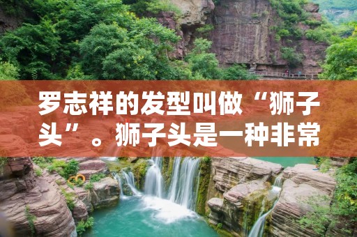 罗志祥的发型叫做“狮子头”。狮子头是一种非常有特色的发型,源自中国传统文化中的狮子形象。罗志祥以其独特的个性和出众的舞台表演而闻名,他的狮子头发型成为了他的标志之一。 罗志祥的发型叫做“狮子头”。狮子头是一种非常有特色的发型,源自中国传统文化中的狮子形象。罗志祥以其独特的个性和出众的舞台表演而闻名,他的狮子头发型成为了他的标志之一。