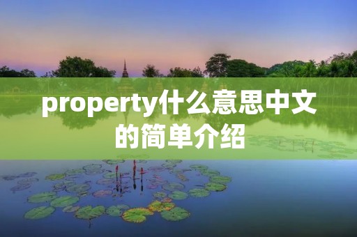 property什么意思中文的简单介绍 property什么意思中文的简单介绍