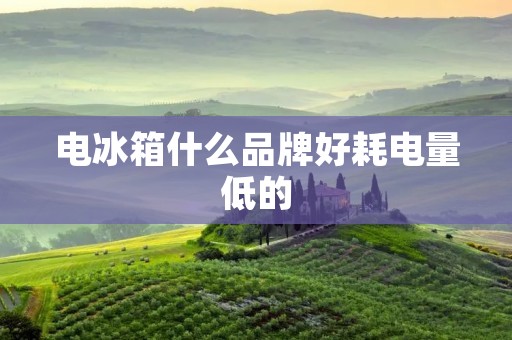 电冰箱什么品牌好耗电量低的：详细解析